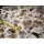 Tunikastoff natur mit Blumen  Meterware