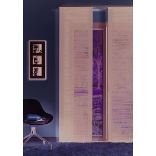 Schiebevorhang Mito 97 anthrazit mit Alupaneelwagen 60x245cm
