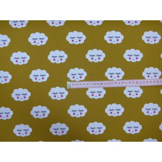 Reststück 60x140cm Wolkengesicht curry Baumwolljersey