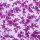 Reststück 140x145cm Baumwollstoff floral pink
