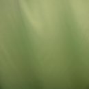 Verdunklungsstoff hellgrün dimoutThermoeffekt Gardinen